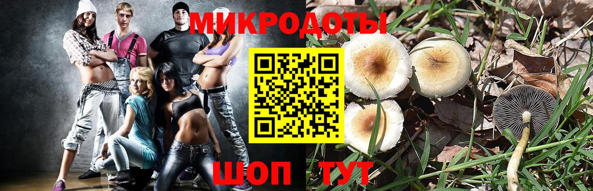 Рязань  Галлюциногенные грибы ЛСД  Галлюциногенные грибы MAGIC MUSHROOMS  Вход с VPN 
